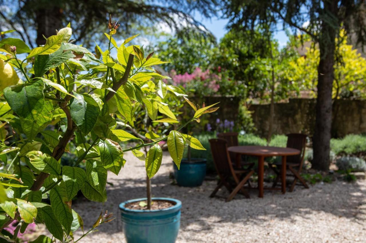 Le Jardin de Mazan Bed & Breakfast Dış mekan fotoğraf