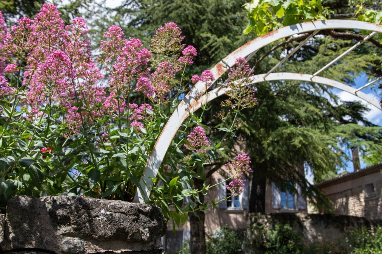 Le Jardin de Mazan Bed & Breakfast Dış mekan fotoğraf